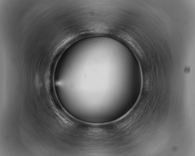 X0000100330677200806051535