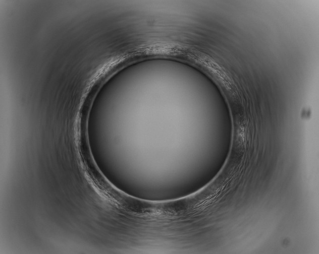 X0000100330678200806051535