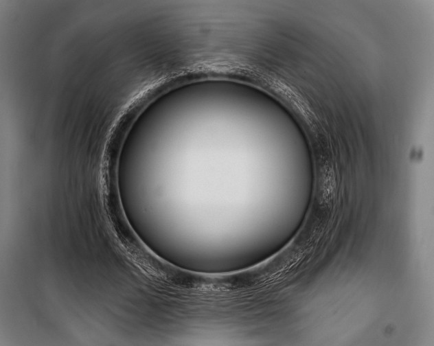 X0000100330680200806051535