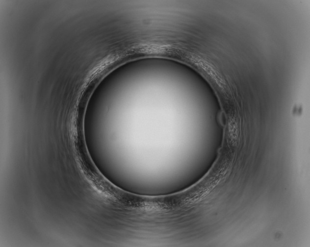 X0000100330682200806051535