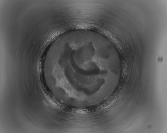 X0000100330683200806051534