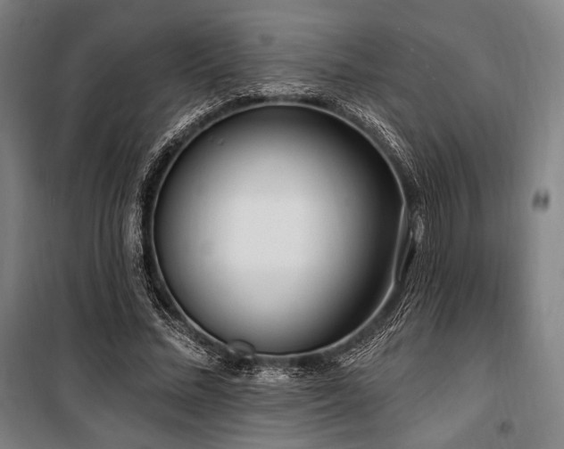 X0000100330684200806051534