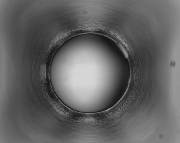 X0000100330685200806051534