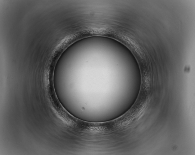 X0000100330686200806051534