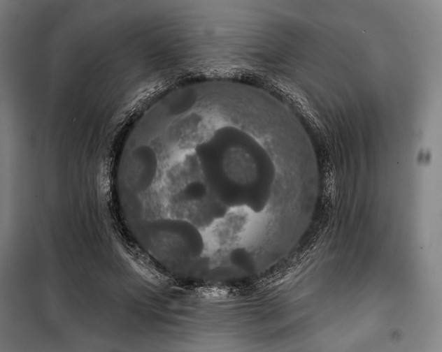 X0000100330687200806051534