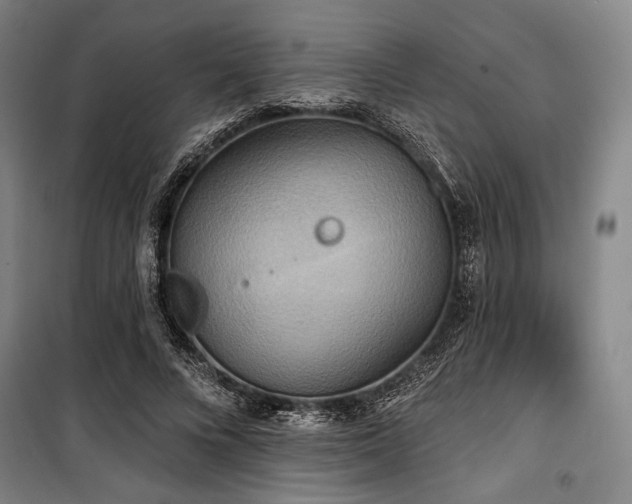 X0000100330688200806051534