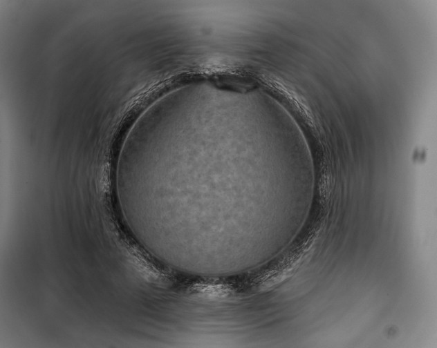 X0000100330689200806051534