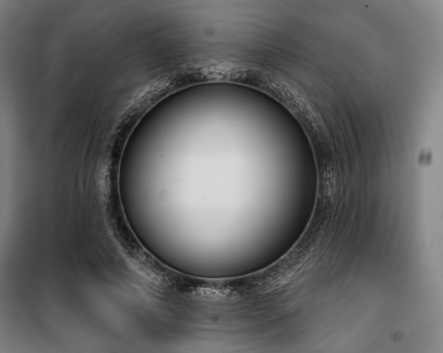 X0000100330690200806051534