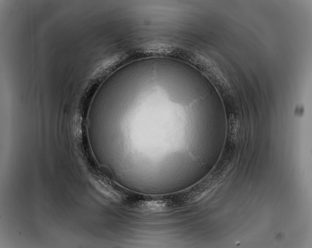 X0000100330692200806051534