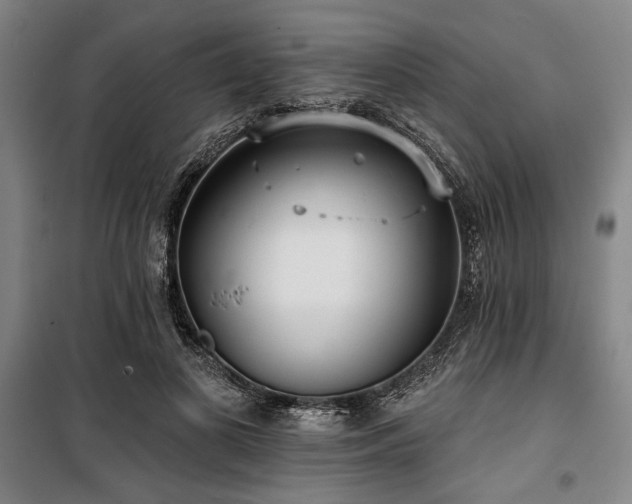 X0000100330693200806051534