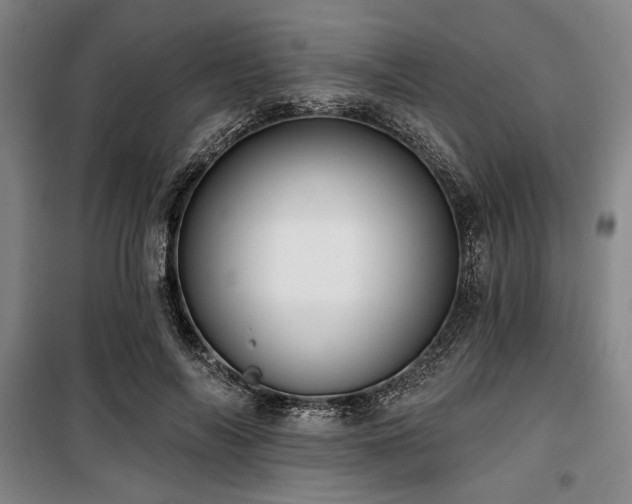 X0000100330694200806051534