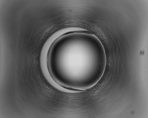 X0000100330697200806051534