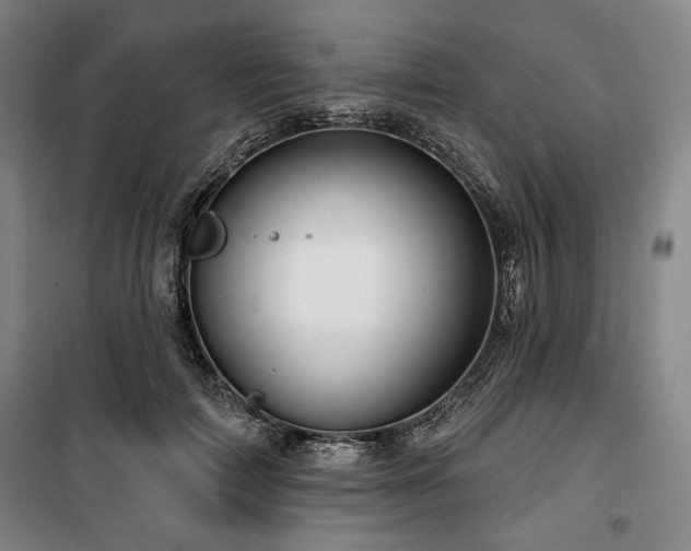 X0000100330698200806051534