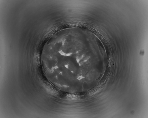 X0000100330699200806051534