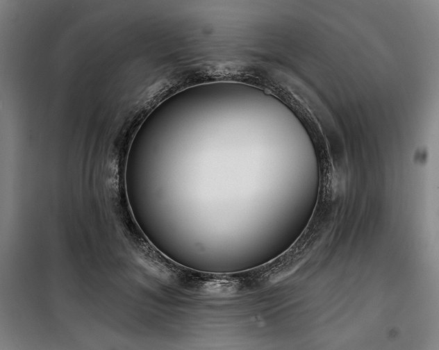 X0000100330700200806051534