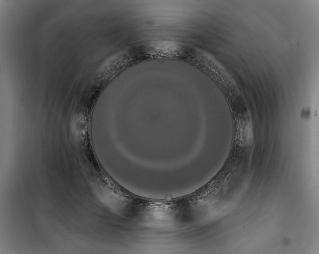 X0000100330701200806051534