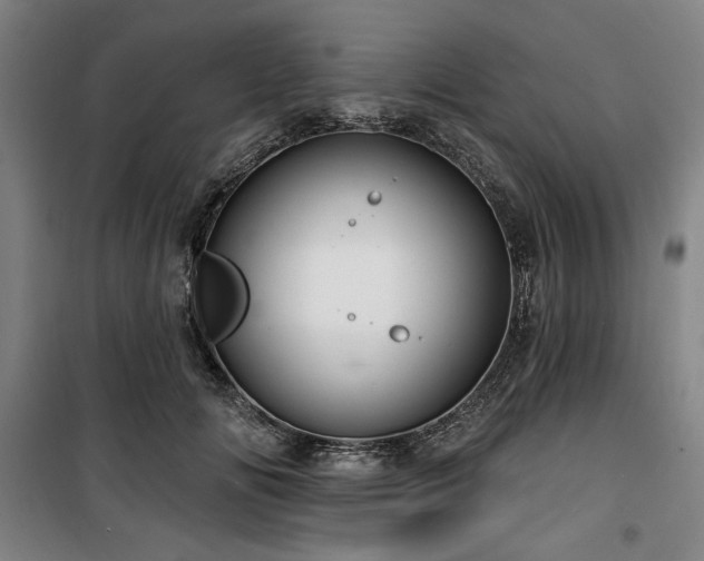 X0000100330702200806051534