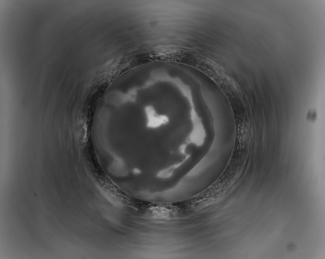 X0000100330703200806051534