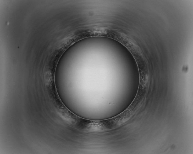 X0000100330704200806051534