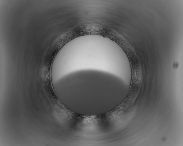 X0000100330705200806051534