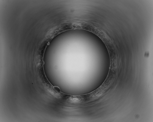 X0000100330706200806051534