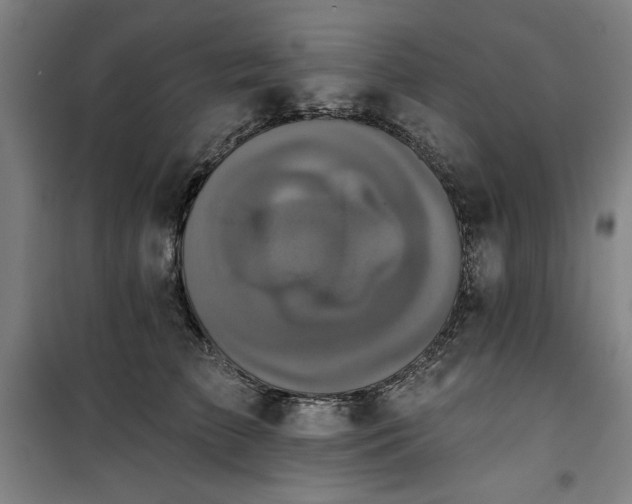 X0000100330709200806051534