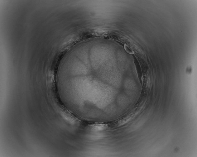 X0000100330711200806051534