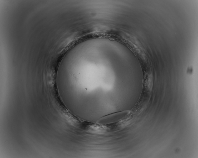 X0000100330712200806051534