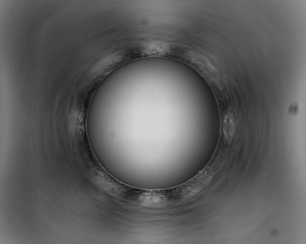 X0000100330714200806051534