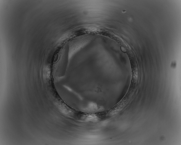 X0000100330715200806051534