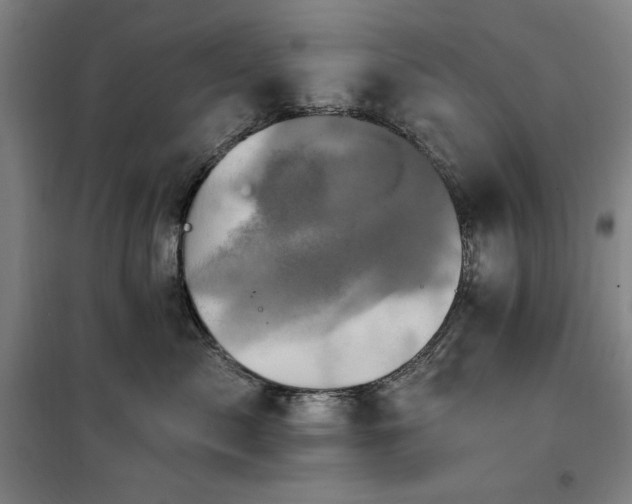 X0000100330717200806051534