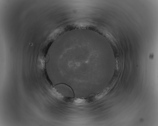 X0000100330718200806051534