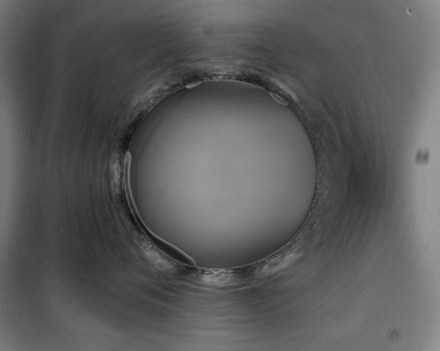 X0000100330720200806051534