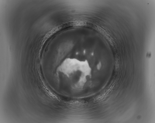 X0000100330721200806051533