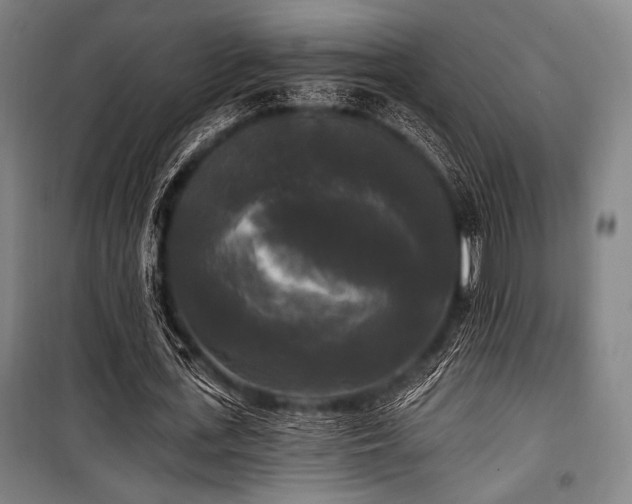 X0000100330723200806051533