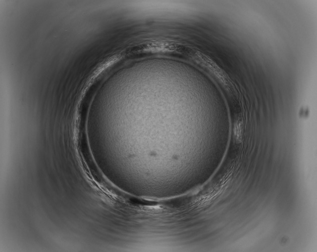 X0000100330724200806051533