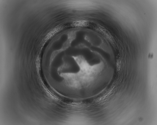 X0000100330725200806051533