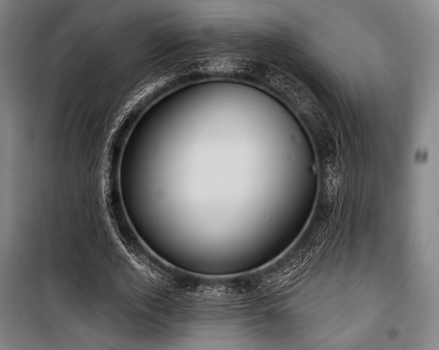 X0000100330728200806051533