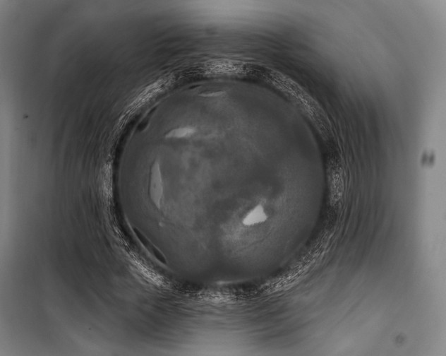 X0000100330729200806051533