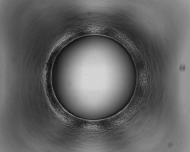 X0000100330730200806051533