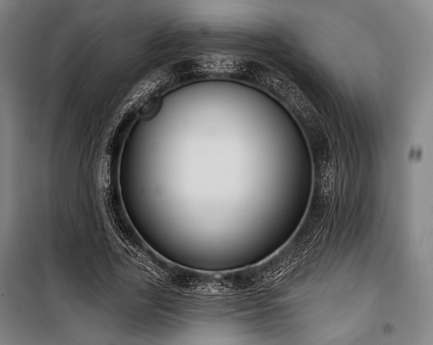 X0000100330731200806051533