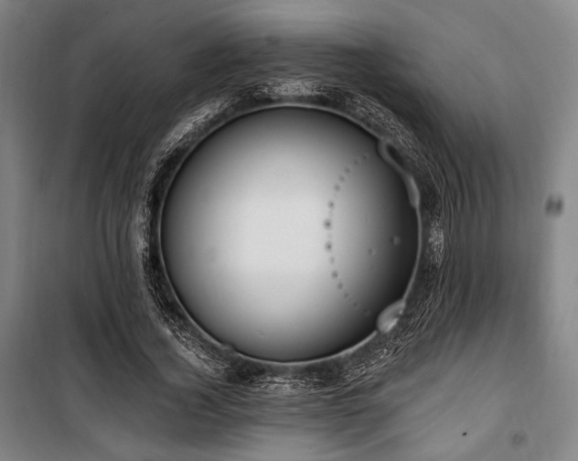 X0000100330732200806051533