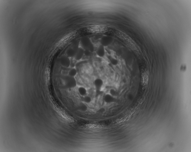 X0000100330733200806051533