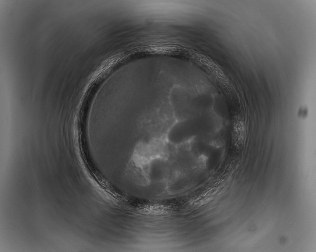 X0000100330734200806051533