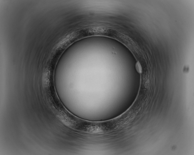 X0000100330735200806051533