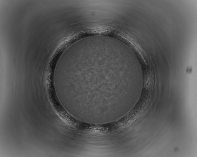 X0000100330736200806051534