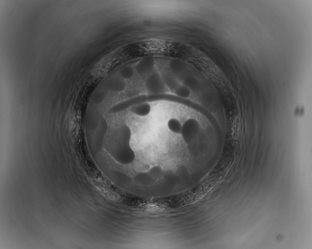 X0000100330737200806051534