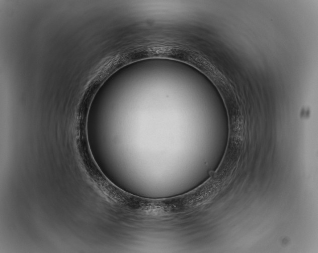 X0000100330738200806051534