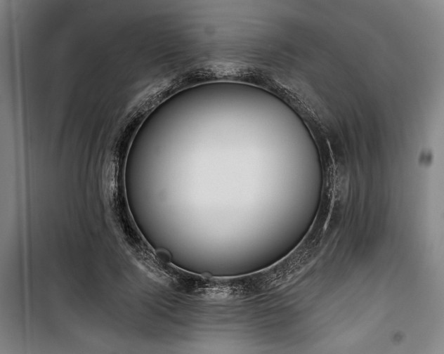 X0000100330740200806051534