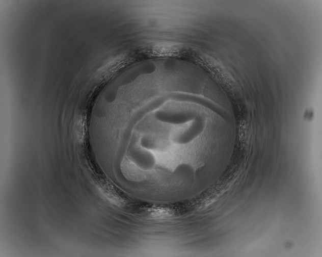 X0000100330741200806051534